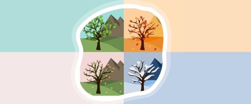 The Four Seasons in French